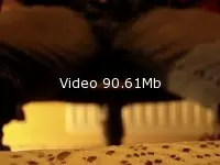 Video amateur