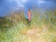 Photo amateur