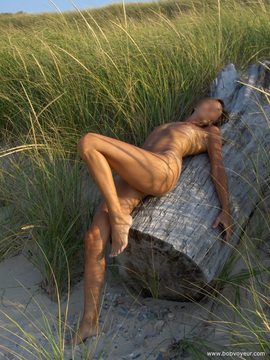 Sensuelle sur le tronc...