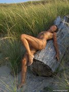 Sensuelle sur le tronc...