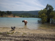 Photo amateur