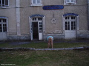 Photo amateur