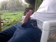 Photo amateur