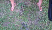 Photo amateur