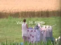 Video amateur