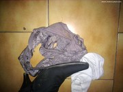Photo amateur