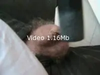 Video amateur