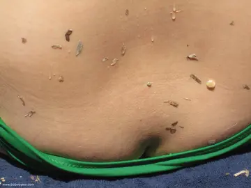 Photo amateur