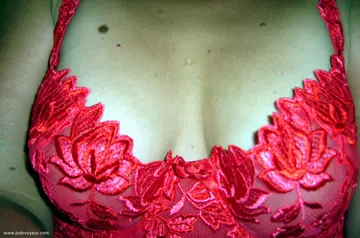 Photo amateur