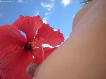 Photo amateur