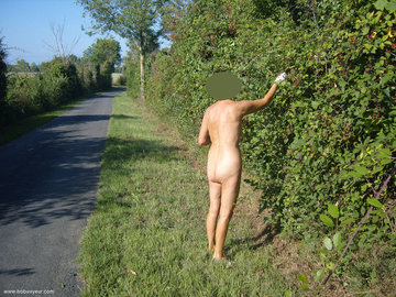 Ceuillette de mûres