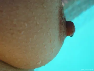 Photo amateur