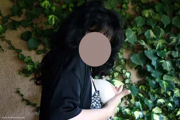 Photo amateur