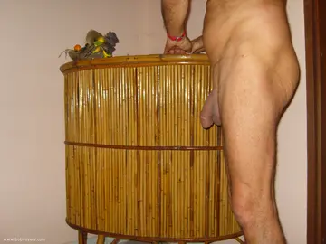 Photo amateur