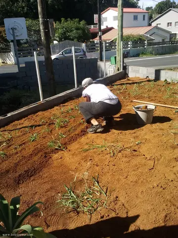 Photo amateur