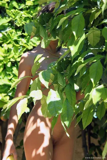 Photo amateur