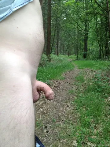 un petit tour dans les bois