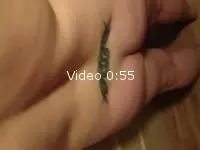 Appréciation