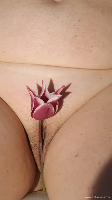 Photo amateur