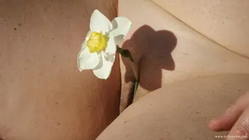 Photo amateur