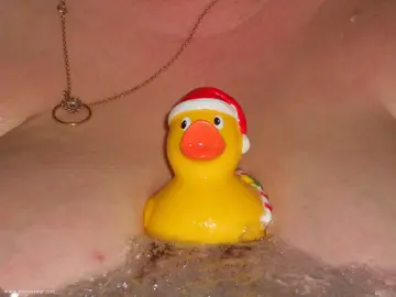 Photo amateur
