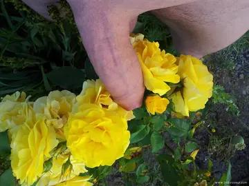 Photo amateur