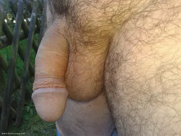 Photo amateur