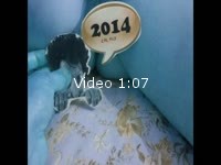 1ere vidéo avec certification