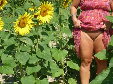 Photo amateur