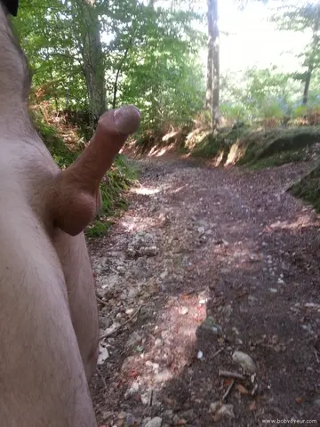 dans les bois