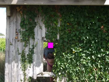 Photo amateur