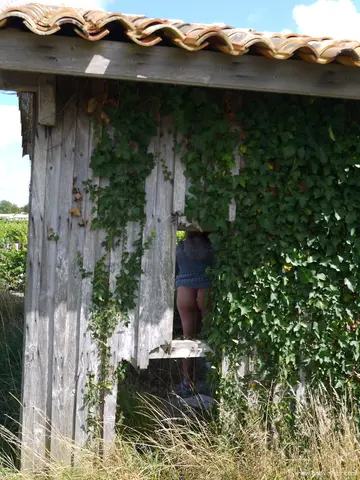 Photo amateur