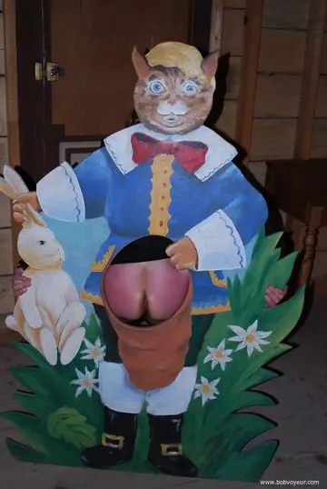 Photo amateur