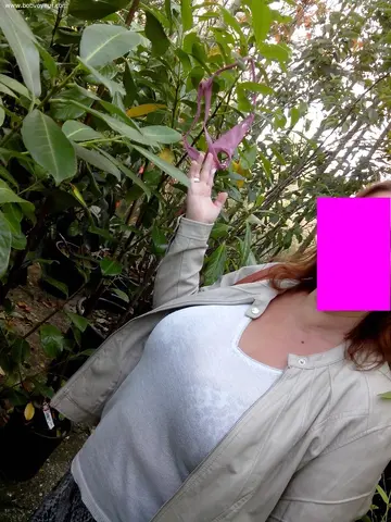 Photo amateur
