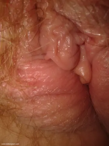 Photo amateur