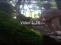 promenade au bois quel plaisir qui m'accompagne ?
