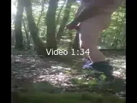 toujours au bois
