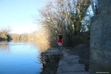 Photo amateur