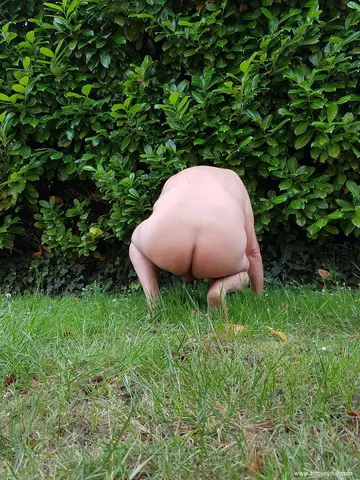 Photo amateur