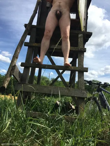 Surveillance du territoire