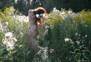 Photo amateur