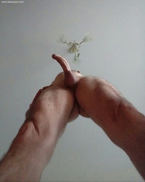 En pleine nature