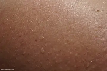 Photo amateur