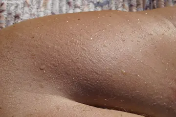 Photo amateur