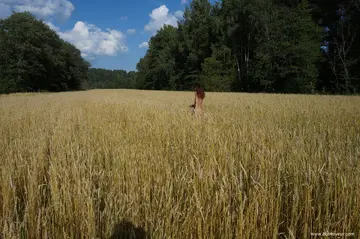 Photo amateur