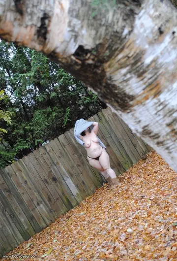 c'est l'automne