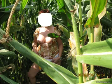 Photo amateur