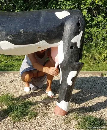 Photo amateur