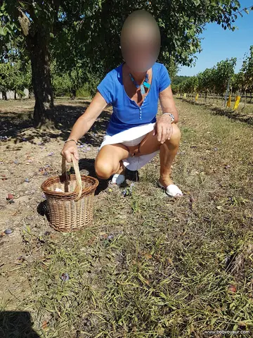 Photo amateur