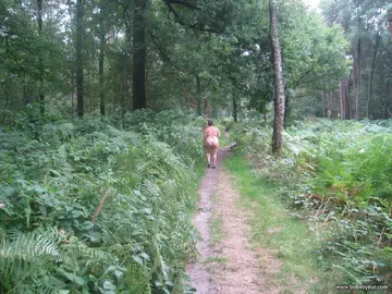 Photo amateur